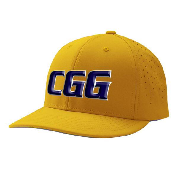 The CGG FASTPITCH logo, representing our commitment to young women in softball.